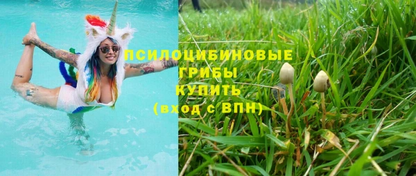 соль курить ск Горняк