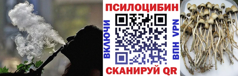 Псилоцибиновые грибы Psilocybe  закладка  Чистополь 