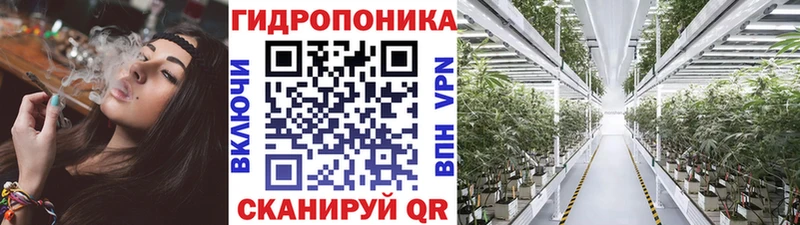 Конопля SATIVA & INDICA  Чистополь 